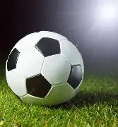 国字号月底,集结,力争挖掘适,OD,OD,OD官网,OD体育官网,OD体育下载,ODAPP