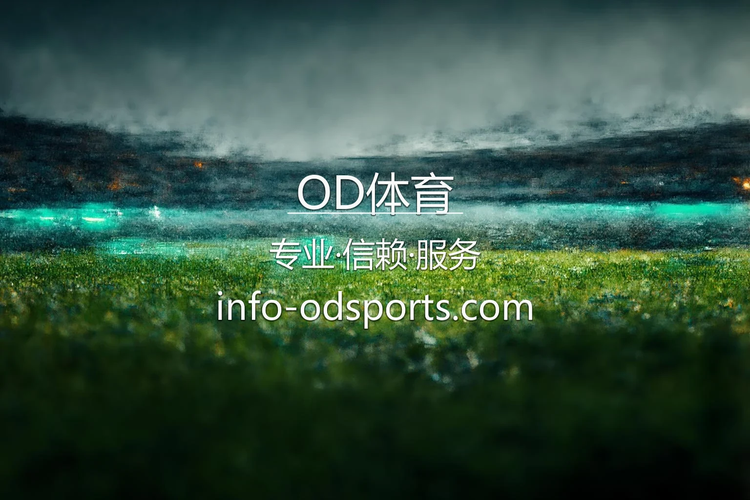 OD体育官网极速移动交互界面